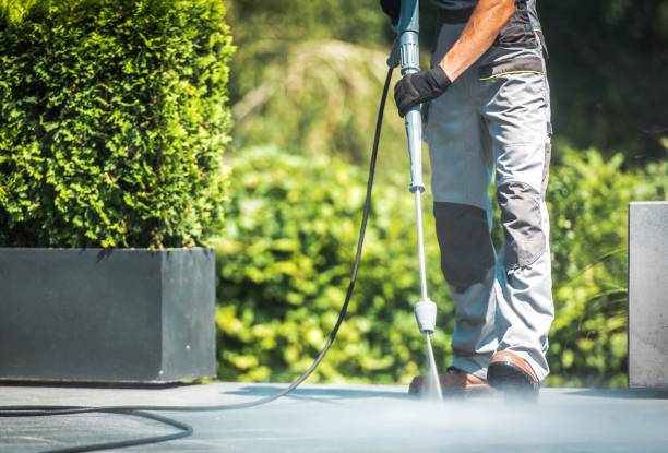 Best Patio and Deck Pressure Washing  in Tamarac, FL
