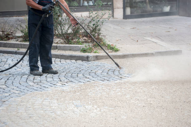 Best Driveway Pressure Washing  in Tamarac, FL
